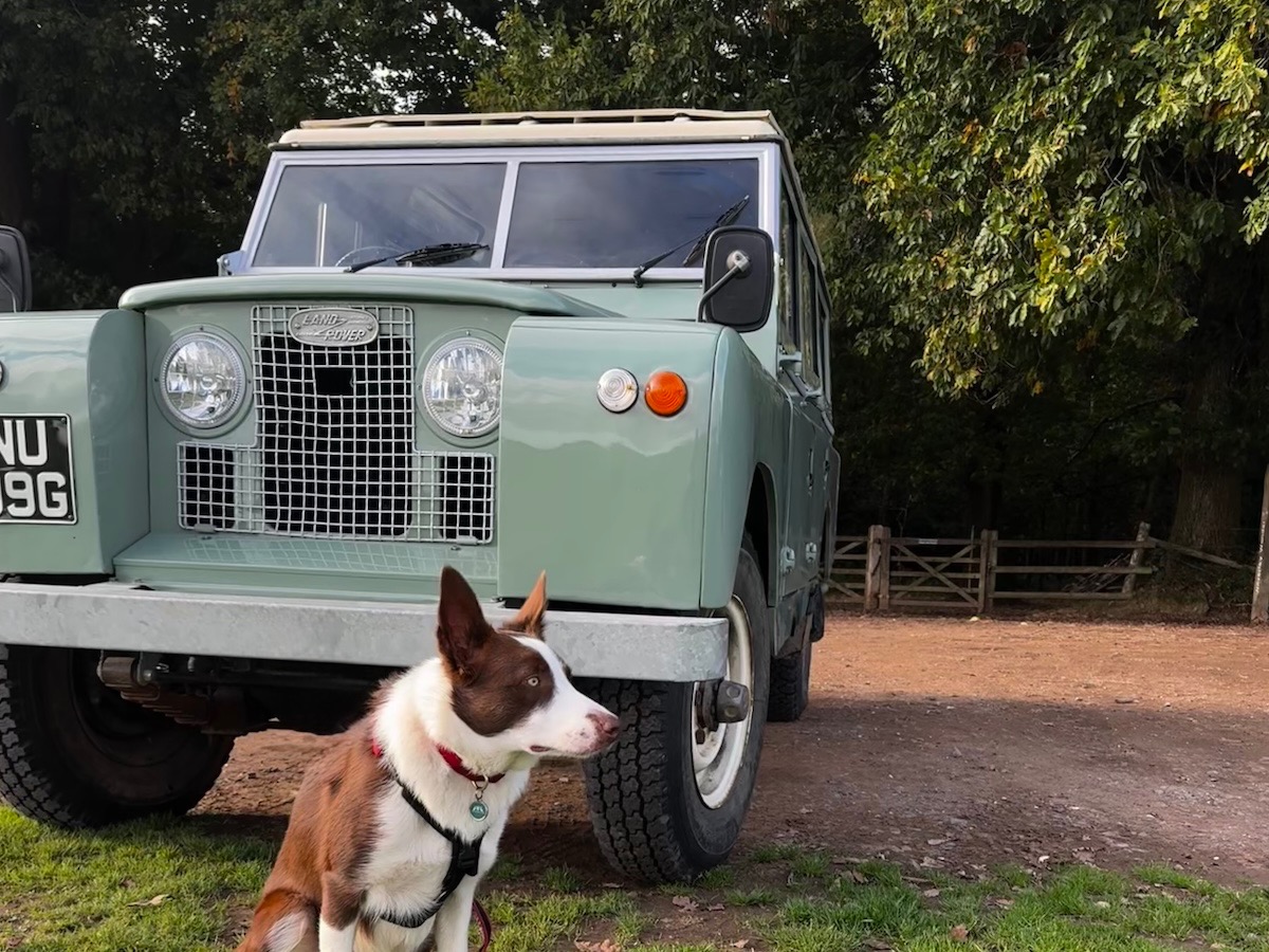 1969 Land Rover Series 2 Image 2